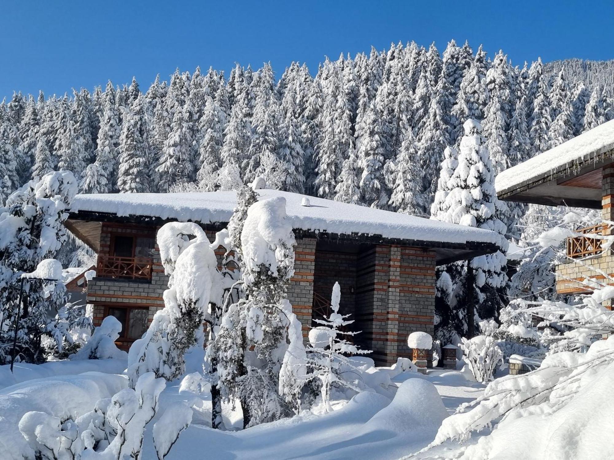Banon Resorts Manāli Екстериор снимка