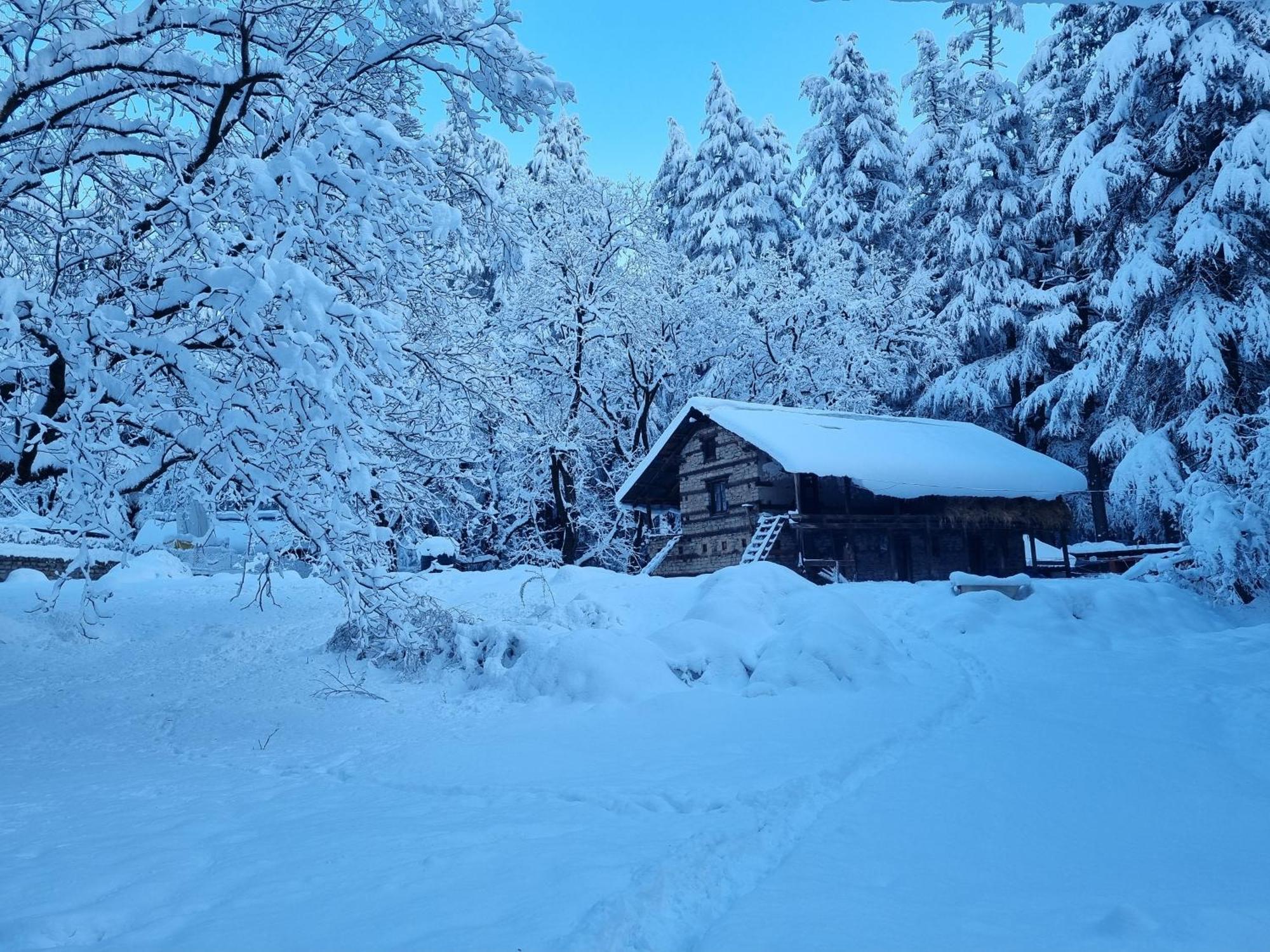 Banon Resorts Manāli Екстериор снимка